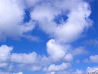 Coast Path Impression nahe Holywell